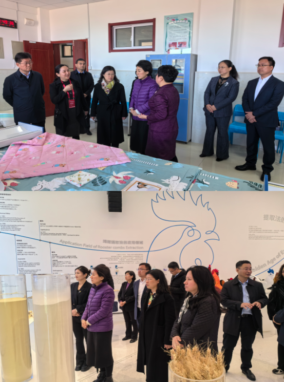 国家家政服务领域产教融合调研组到济南市调研