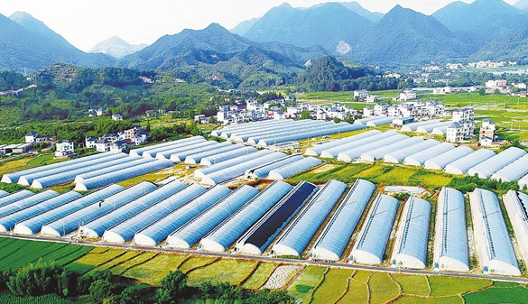安徽省发展改革委安徽省财政厅关于印发安徽大别山革命老区振兴发展专项资金和项目管理办法（试行）的通知