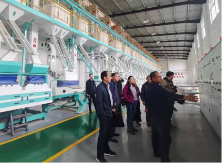 陕西省发展和改革委员会关于粮油加工企业初加工用电价格有关事项的通知