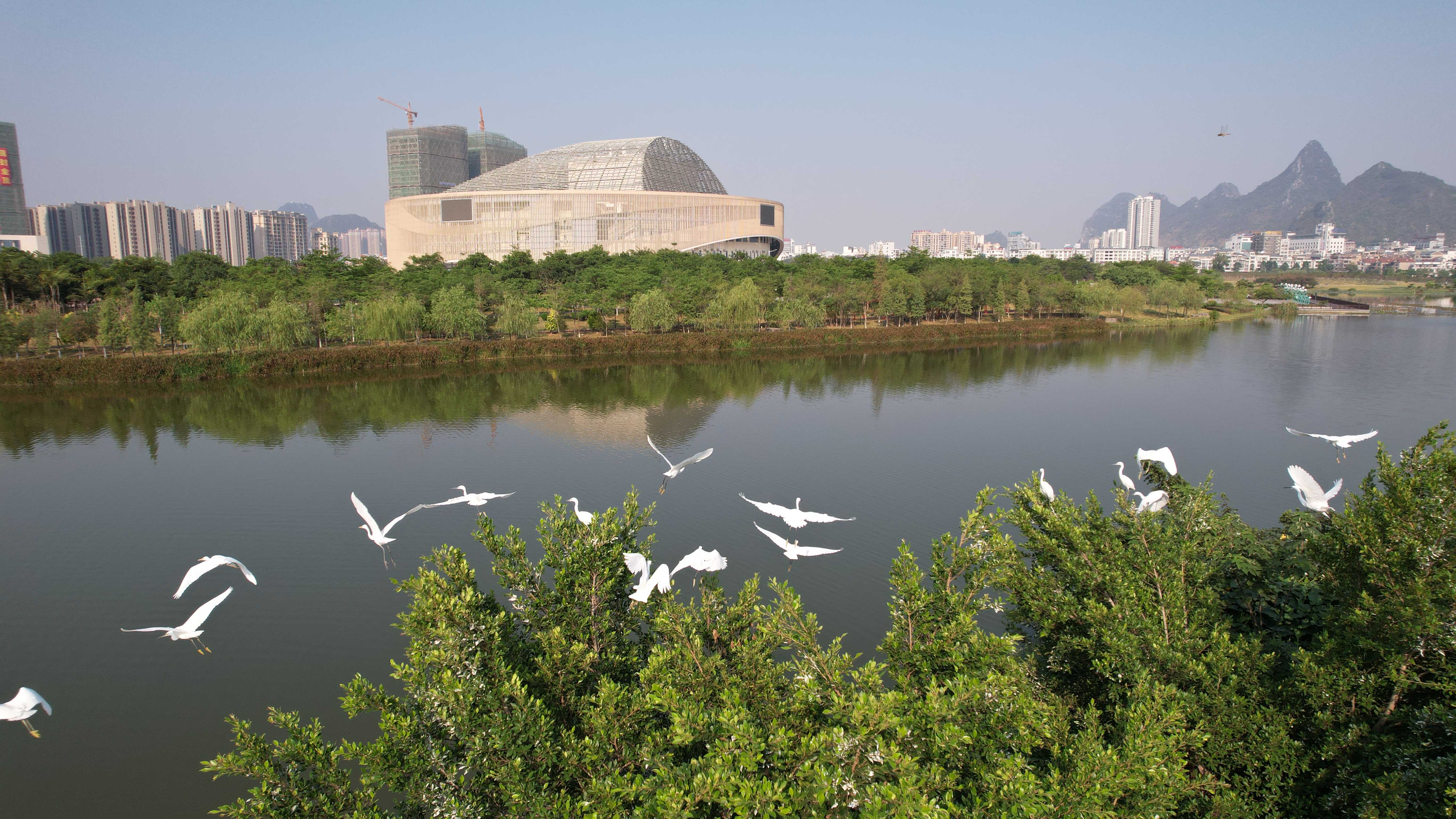 广西全力推进园林绿化建设 让城市更绿更宜居