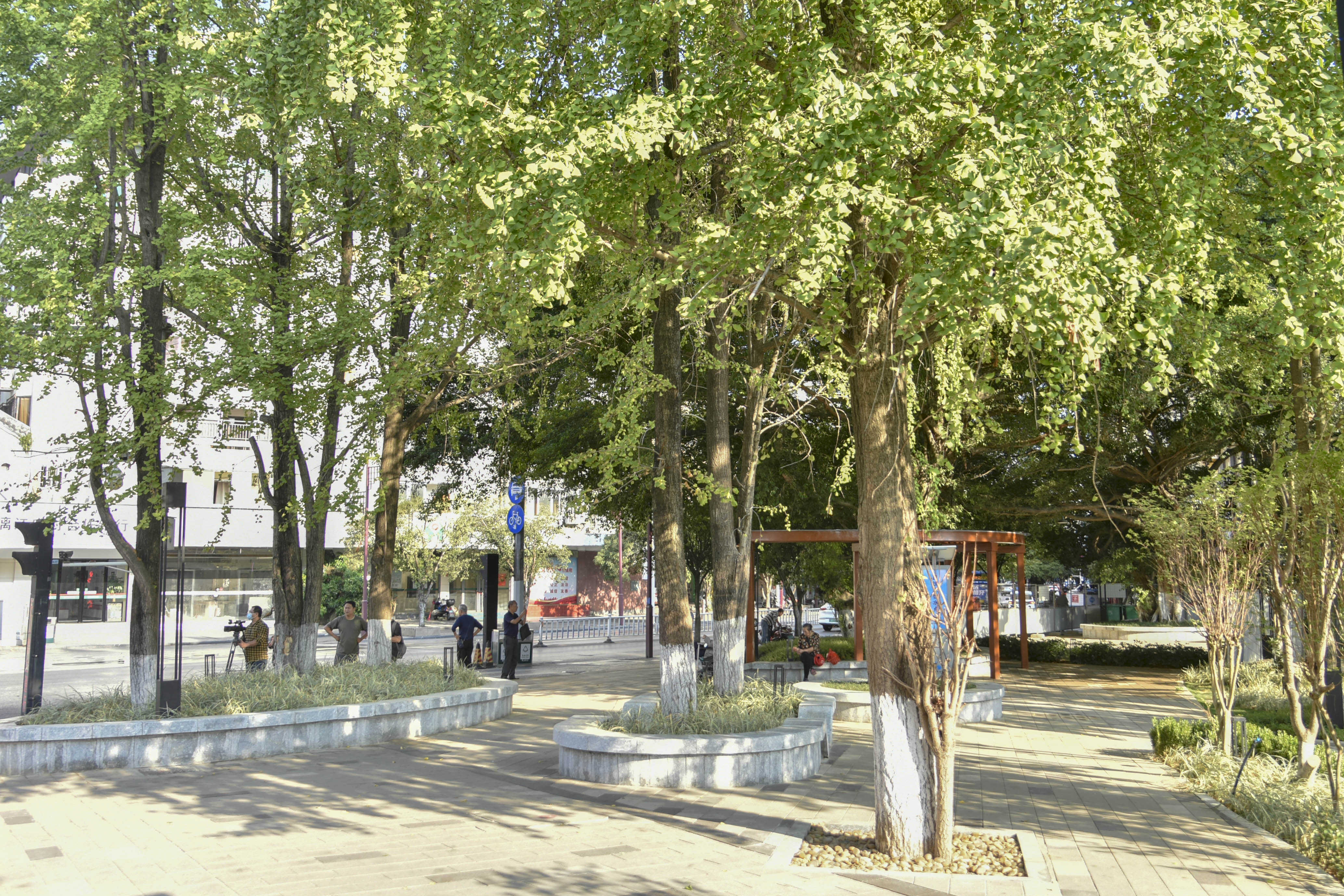 广西全力推进园林绿化建设 让城市更绿更宜居