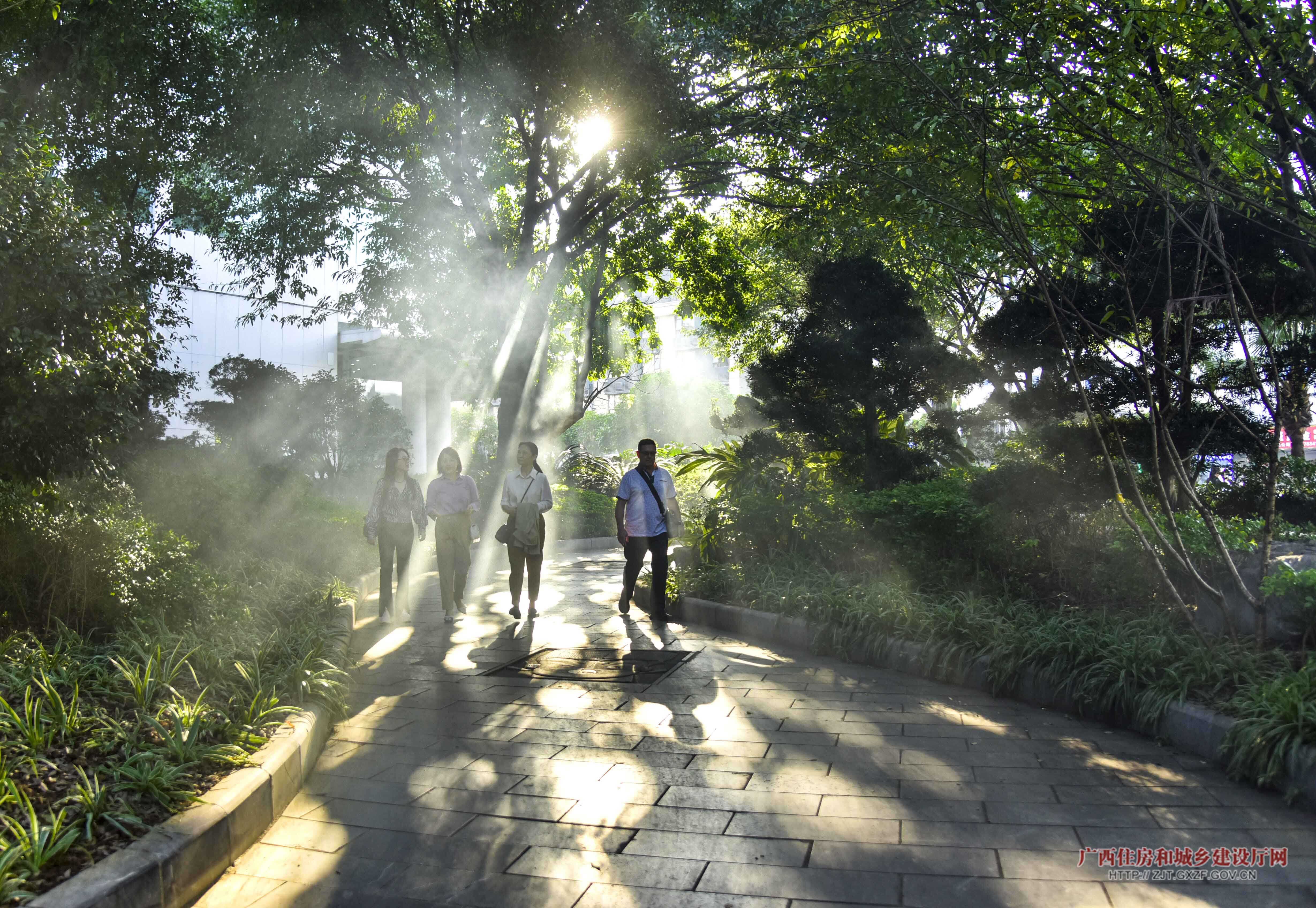 广西全力推进园林绿化建设 让城市更绿更宜居