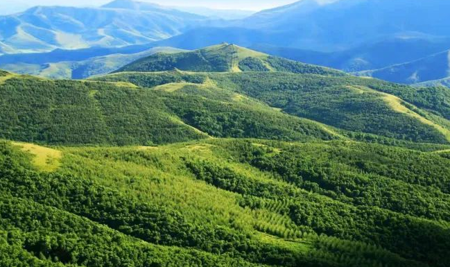 《山西省“十四五”生态退化地区绿色发展实施方案》政策解读