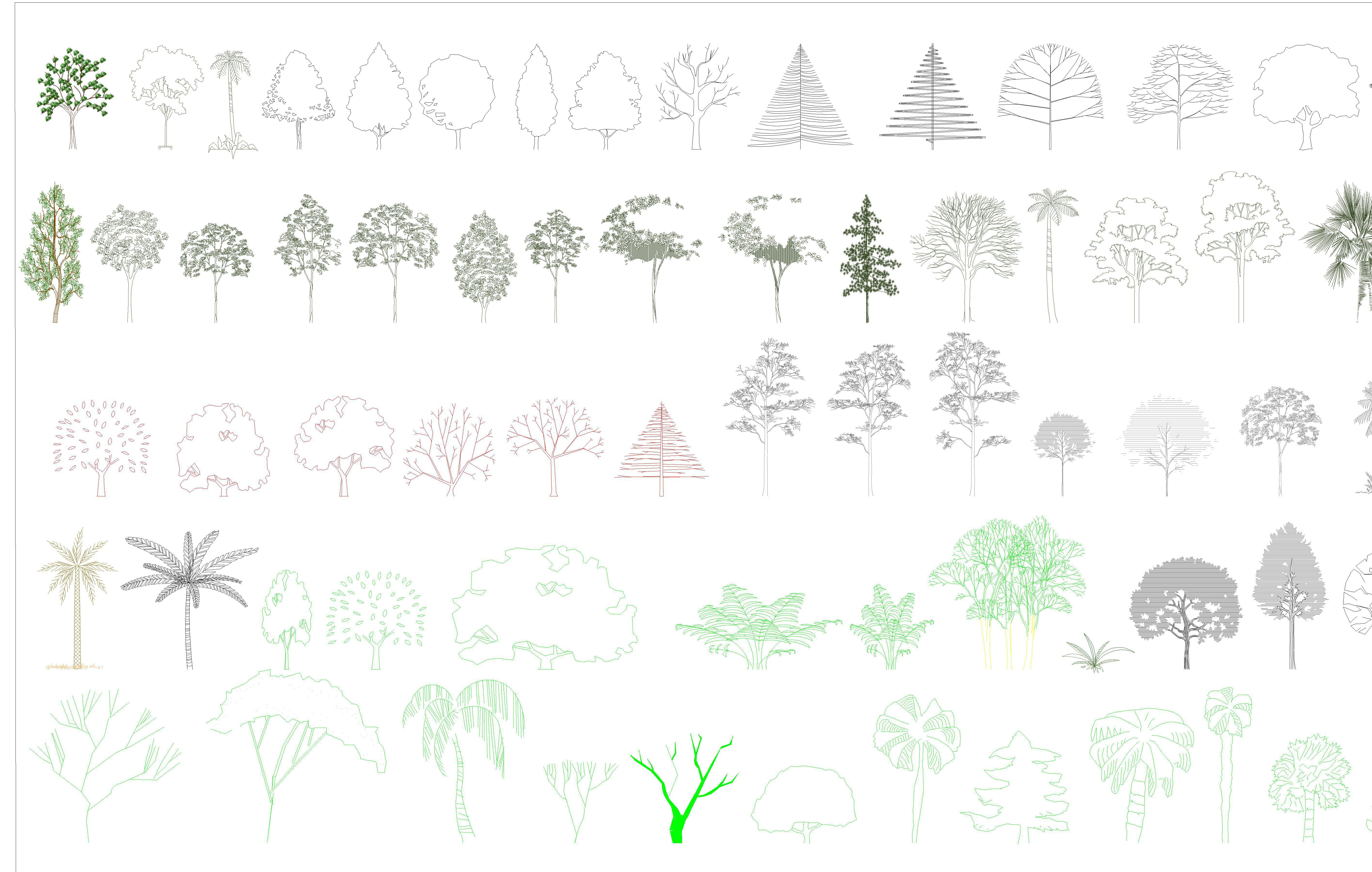 Trees and Plants.jpg