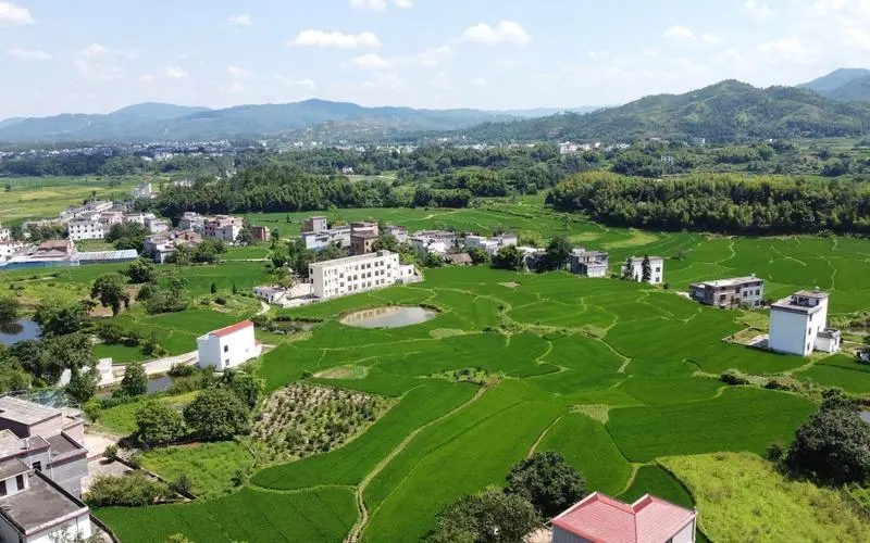如何看待自然资源部国土空间规划“三区三线”划定工作？