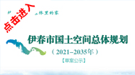 伊春市国土空间总体规划(2021-2035年)