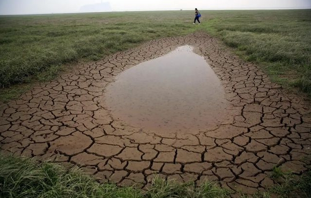 做好进行水储存量调查,需要开展哪些工作?