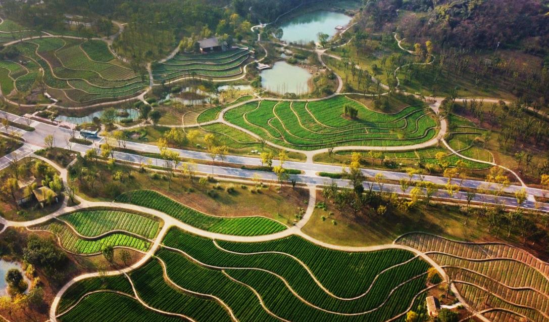 生态保护修复中央预算内投资专项管理办法主要包括以下内容: