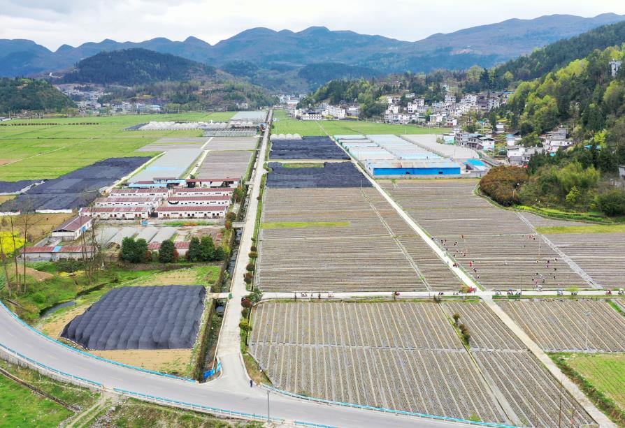 中低产田改造项目可行性研究报告
