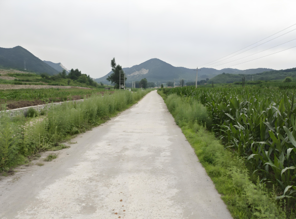 农村公路条例