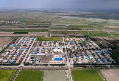 锚定目标  扛责在肩  主动作为  开创新疆住房城乡建设高质量发展新局面