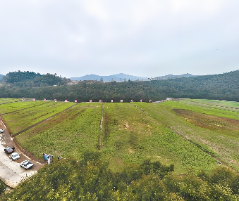 怎样理解开展生态保护修复成效评估