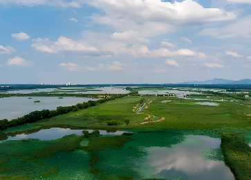 我国形成湿地保护发展新格局